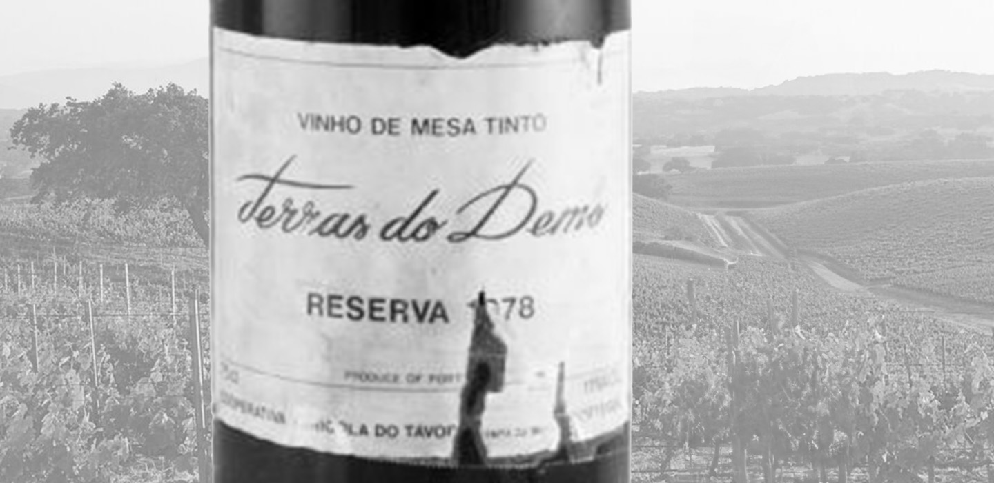 Rótulo vinhoTerras do Demo